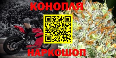 PSILOCYBIN Славгород