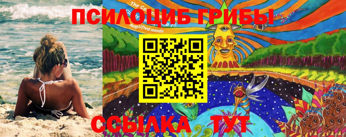 купить наркотик  Вход с VPN  Псилоцибиновые грибы Cubensis  Похвистнево  Псилоцибиновые грибы ЛСД 