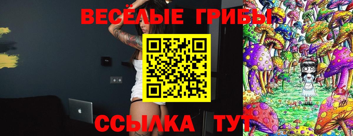 Псилоцибиновые грибы прущие грибы Похвистнево